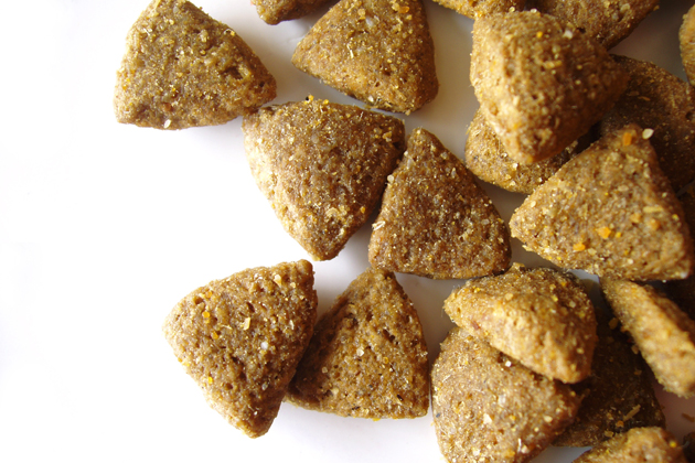 Closeup of Dry Food Closeup of Dry Food